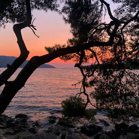 Дом отдыха House Sidro, *