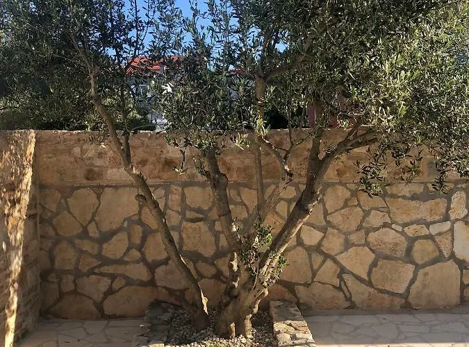 House Sidro, Дом отдыха