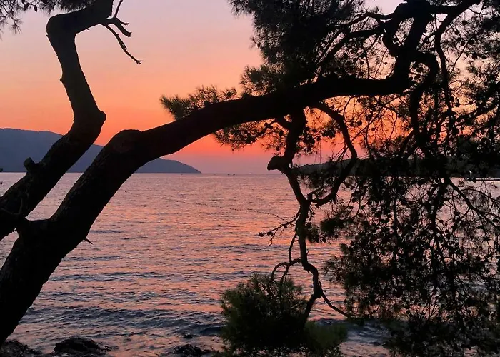 Дом отдыха House Sidro, *